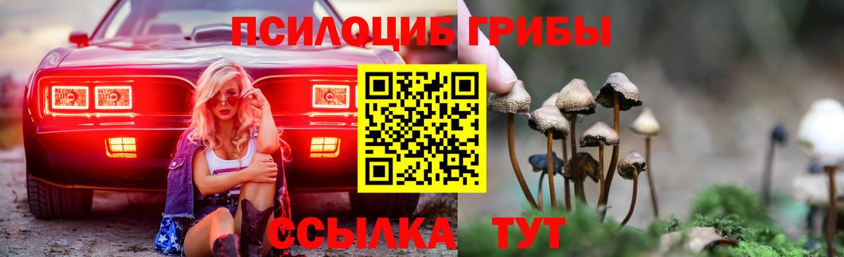 Глазов  Галлюциногенные грибы прущие грибы  Вход с VPN 